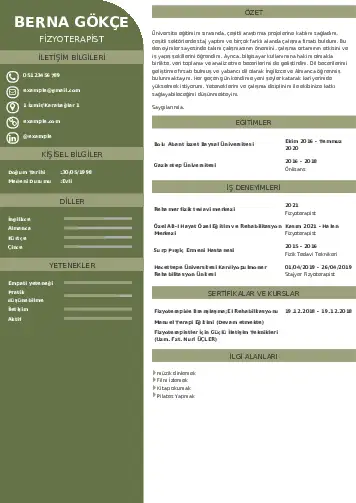 Fizyoterapist Cv Örnekleri cv indir